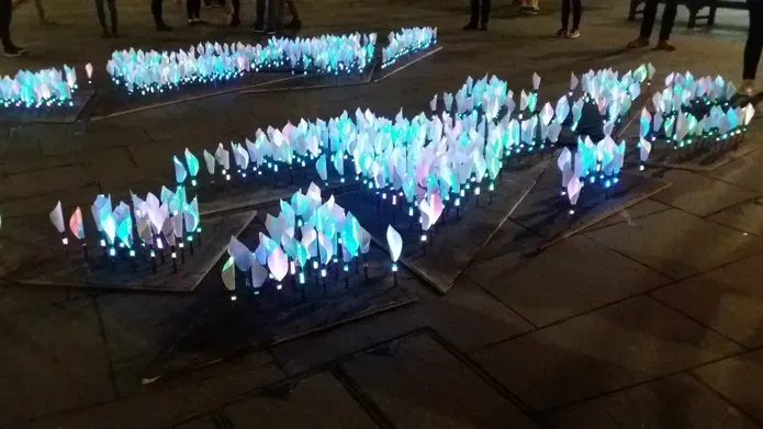 An outdoor installation of glowing artificial lilies