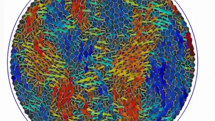 microscopic dish