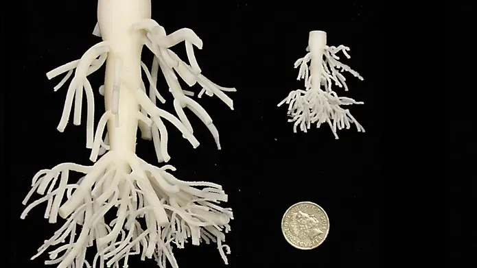 3D printed root