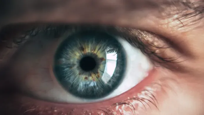 eye image