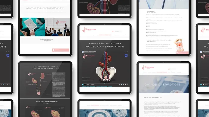 website preview