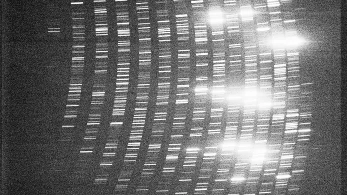 a black and white image showing spectral lines
