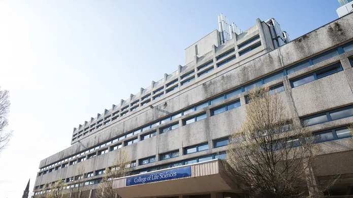 MSI concrete building