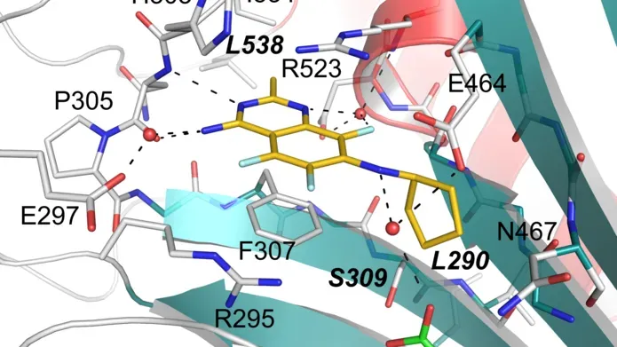 Schematic showing the crystal structure of TcCpKRS1 with DMU371 (yellow) bound to the active site in the presence of lysine substrate (green). Water molecules are indicated in red, and hydrogen bonding interactions formed with water molecules are represented as black dashed lines. Key residues are labeled using CpKRS1 numbering.