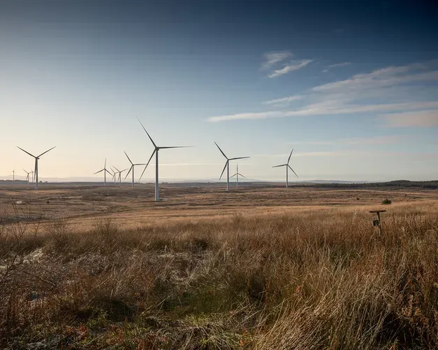 a picture of rows of wind turbines in a field