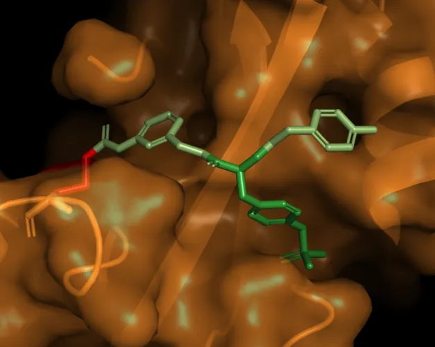 image of the developed compound