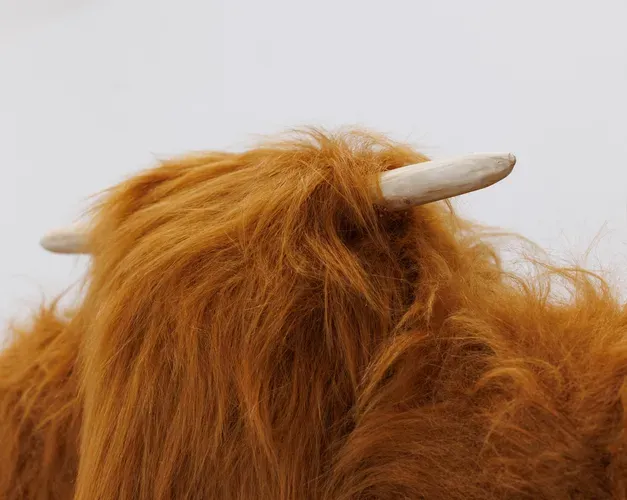 cow horns