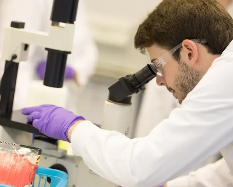 Biomedical and Molecular Sciences with Management MSc