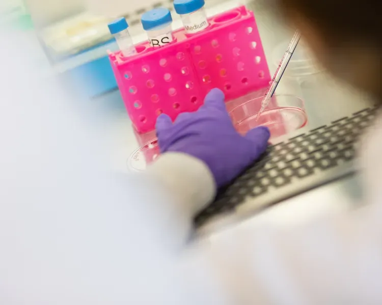 Biomedical Sciences
