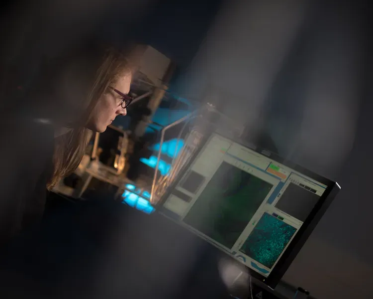 Researcher at the School of Life Sciences