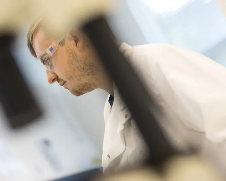 male student working in laboratory