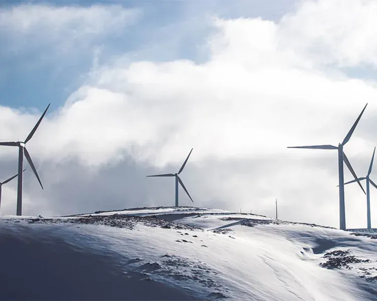 Windfarm