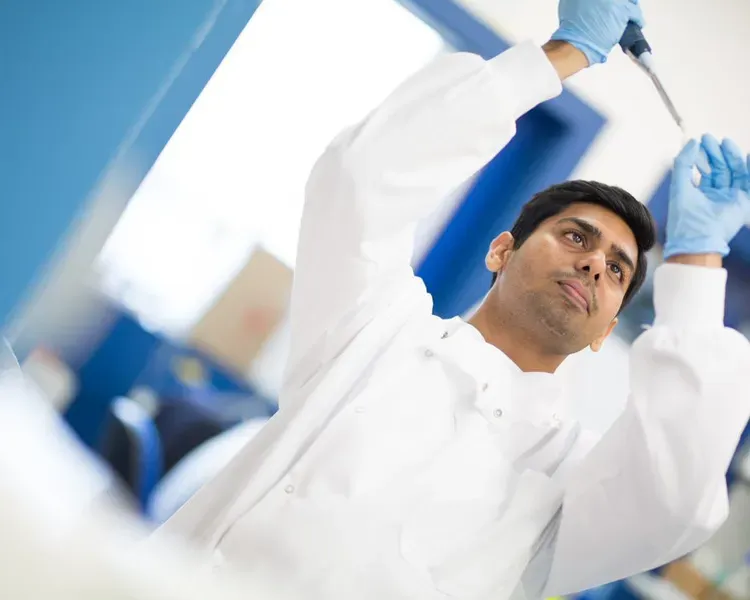 A scientist working in a lab