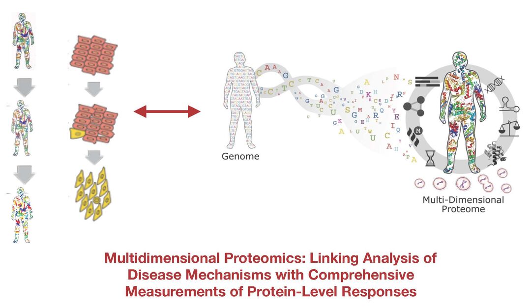 Graphic showing multi-dimensional proteomics