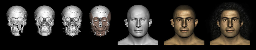 the evolution of a model head showing the development from the skull to shape and full colour and facial features