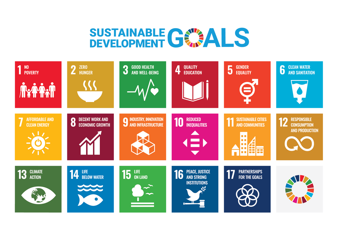 A graphic showing the UN Sustainable 17 goals