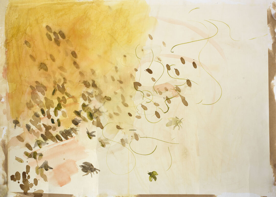 Drawing 'Summer is Coming' by Kirsty Bogle