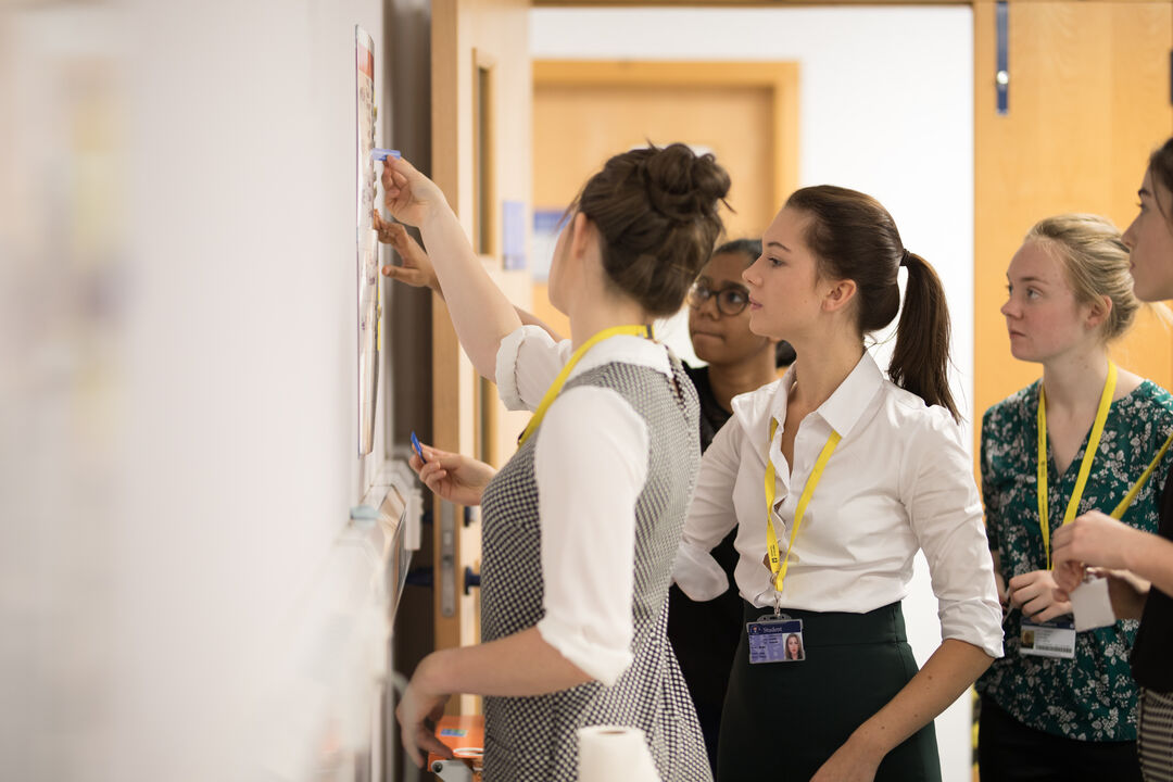 Undergraduate student in School of Medicine working on a black board together.