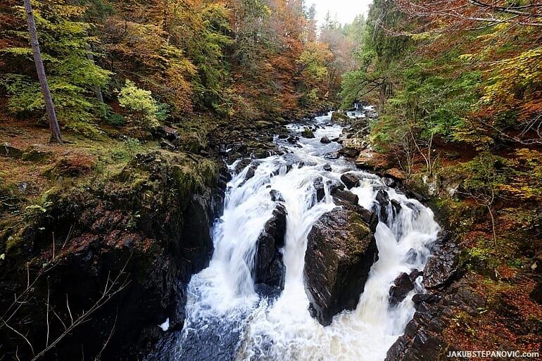 waterfall between trees