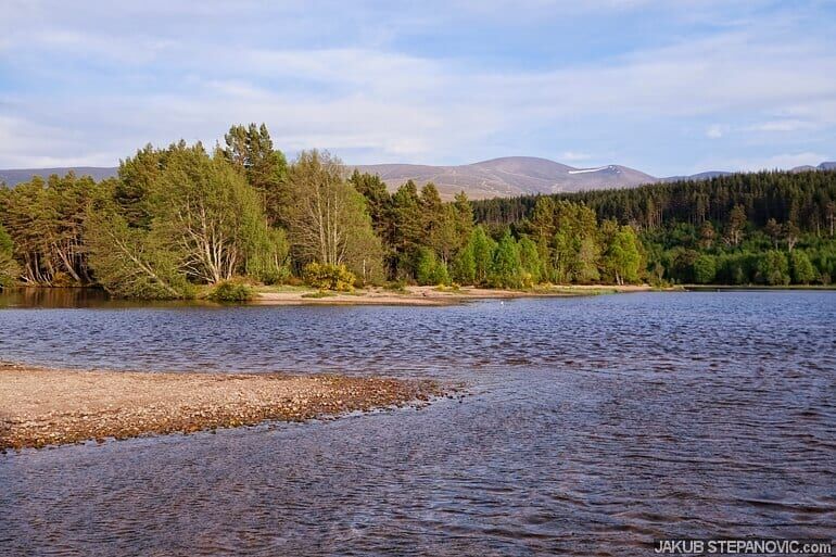 Loch surrounded by trees