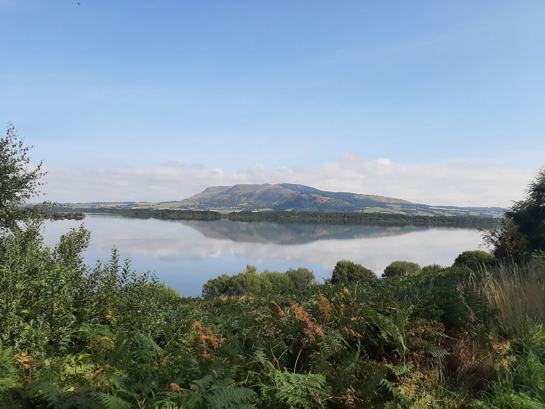 Landscape shot of a water reservoir surrounded by bushes and greenery in the foreground, with a hill in the background