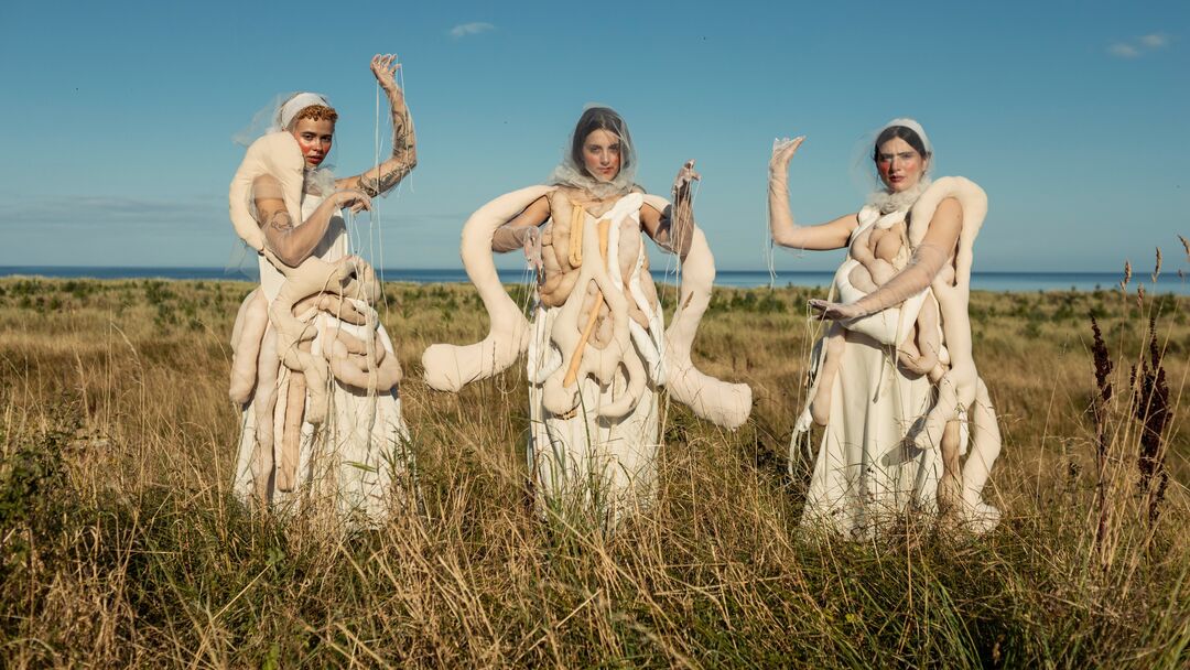 Three women wearing 3D fabric body parts representing the human gut on their outfits with their arms up dancing in a field with blue skies behind