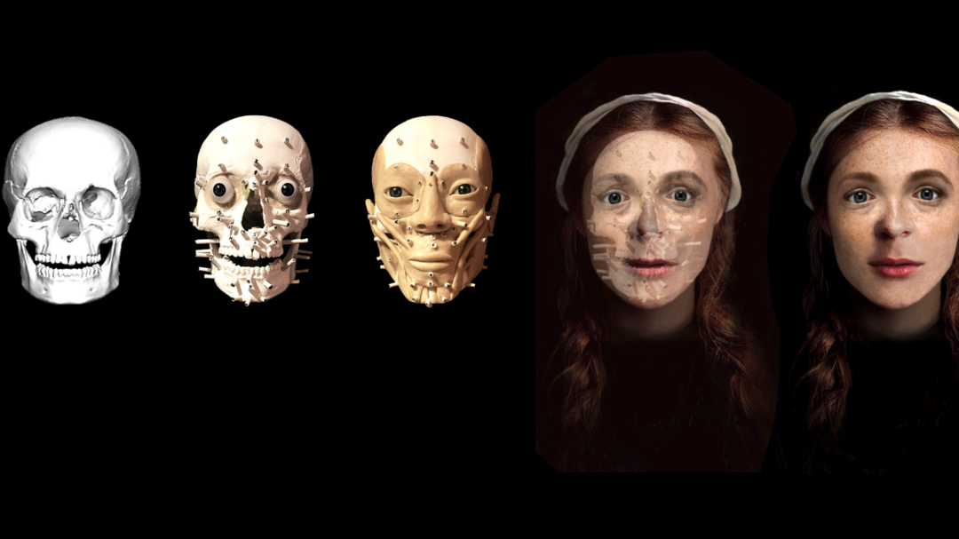 digital image showing skull to fully reconstructed face process