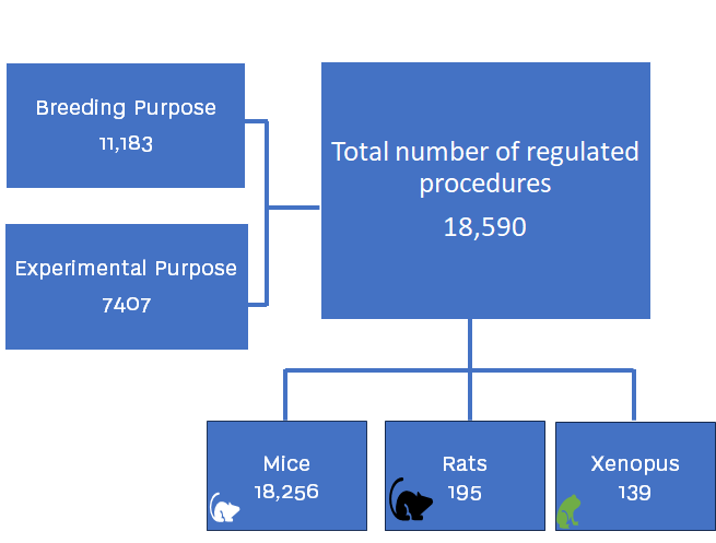 Graphic showing numbers of 2024 animal statistics
