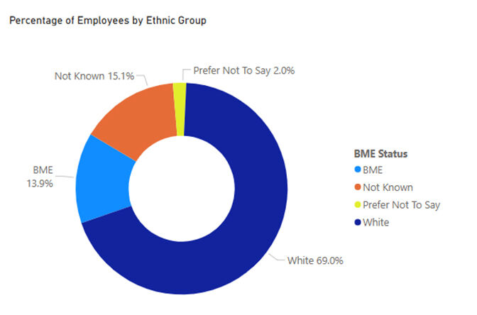 A graph shows staff by ethnic groups: white 69.0%, not known 15.1%, BME 13.9%, prefer not to say 2.0%