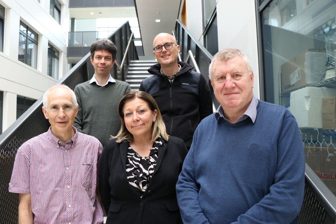 group of four men and one woman standing together at the bottom of stairs, all looking at camera and smiling